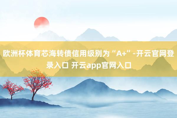 欧洲杯体育芯海转债信用级别为“A+”-开云官网登录入口 开云app官网入口