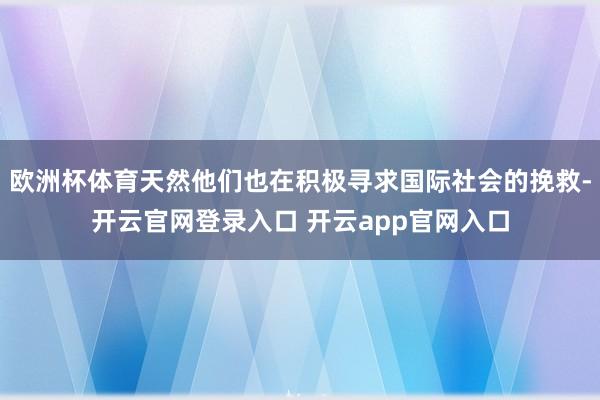 欧洲杯体育天然他们也在积极寻求国际社会的挽救-开云官网登录入口 开云app官网入口