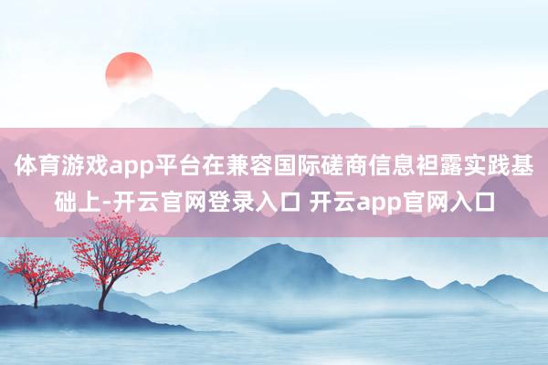 体育游戏app平台在兼容国际磋商信息袒露实践基础上-开云官网登录入口 开云app官网入口