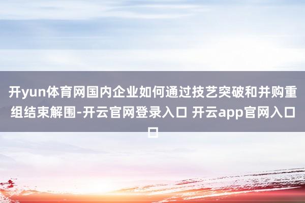开yun体育网国内企业如何通过技艺突破和并购重组结束解围-开云官网登录入口 开云app官网入口