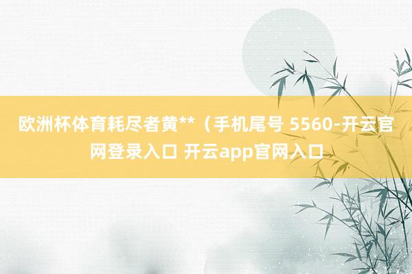 欧洲杯体育耗尽者黄**（手机尾号 5560-开云官网登录入口 开云app官网入口