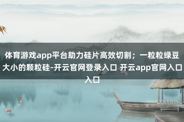 体育游戏app平台助力硅片高效切割；一粒粒绿豆大小的颗粒硅-开云官网登录入口 开云app官网入口