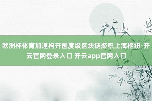 欧洲杯体育加速构开国度级区块链聚积上海枢纽-开云官网登录入口 开云app官网入口