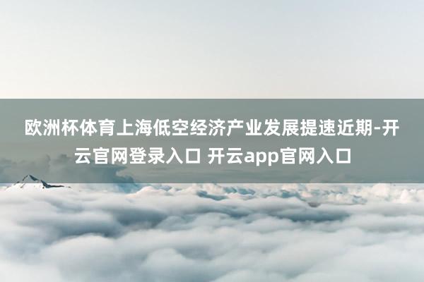 欧洲杯体育　　上海低空经济产业发展提速　　近期-开云官网登录入口 开云app官网入口